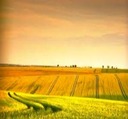 Weites-offenes-land