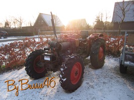 bassie46