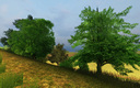 Trees-pack