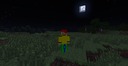 Minewoodforcelp-s-skin