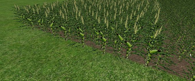 Texturen Maize textur Landwirtschafts Simulator mod