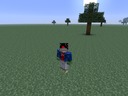 Crazy-skin