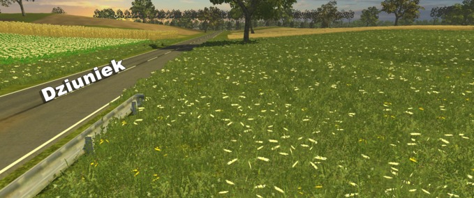 Texturen Grass texture Landwirtschafts Simulator mod