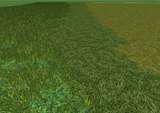 Texturen Grass Mod Thumbnail