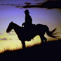 *Cowboy*