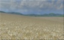 Sandhof-final