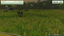 Gras-textur--10