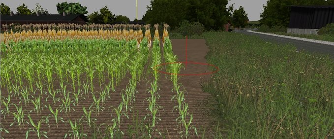 Texturen Corn in rows Landwirtschafts Simulator mod