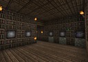 Meine-survivalmap1