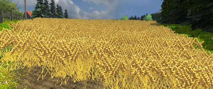 Texturen Gras Weizen Mais Raps Gerste Grubber Texturen Landwirtschafts Simulator mod