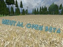 Neutal-high-version-open-beta