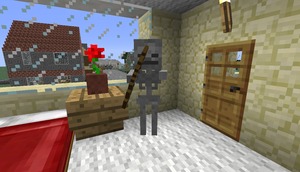 monnamina