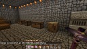 A small village survival