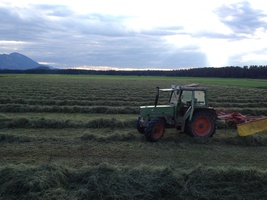Fendt 306