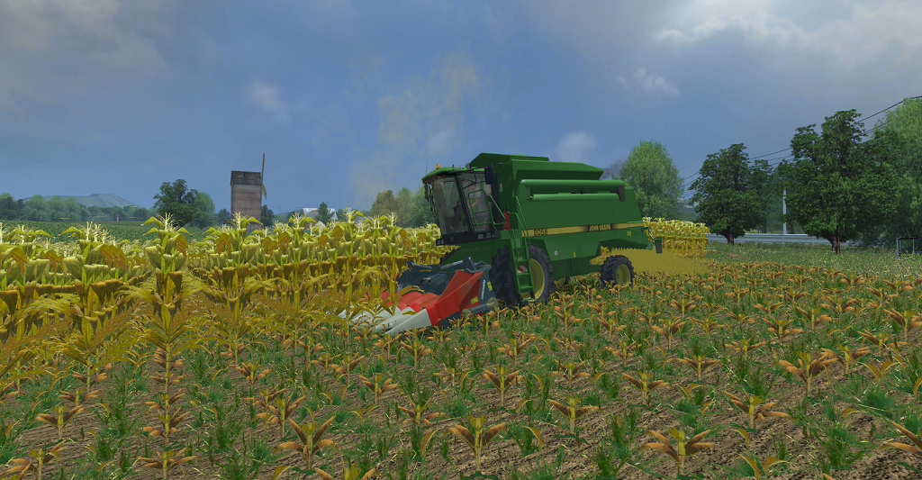 Maize in rows - Thumbnail 1