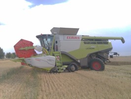 heiko131