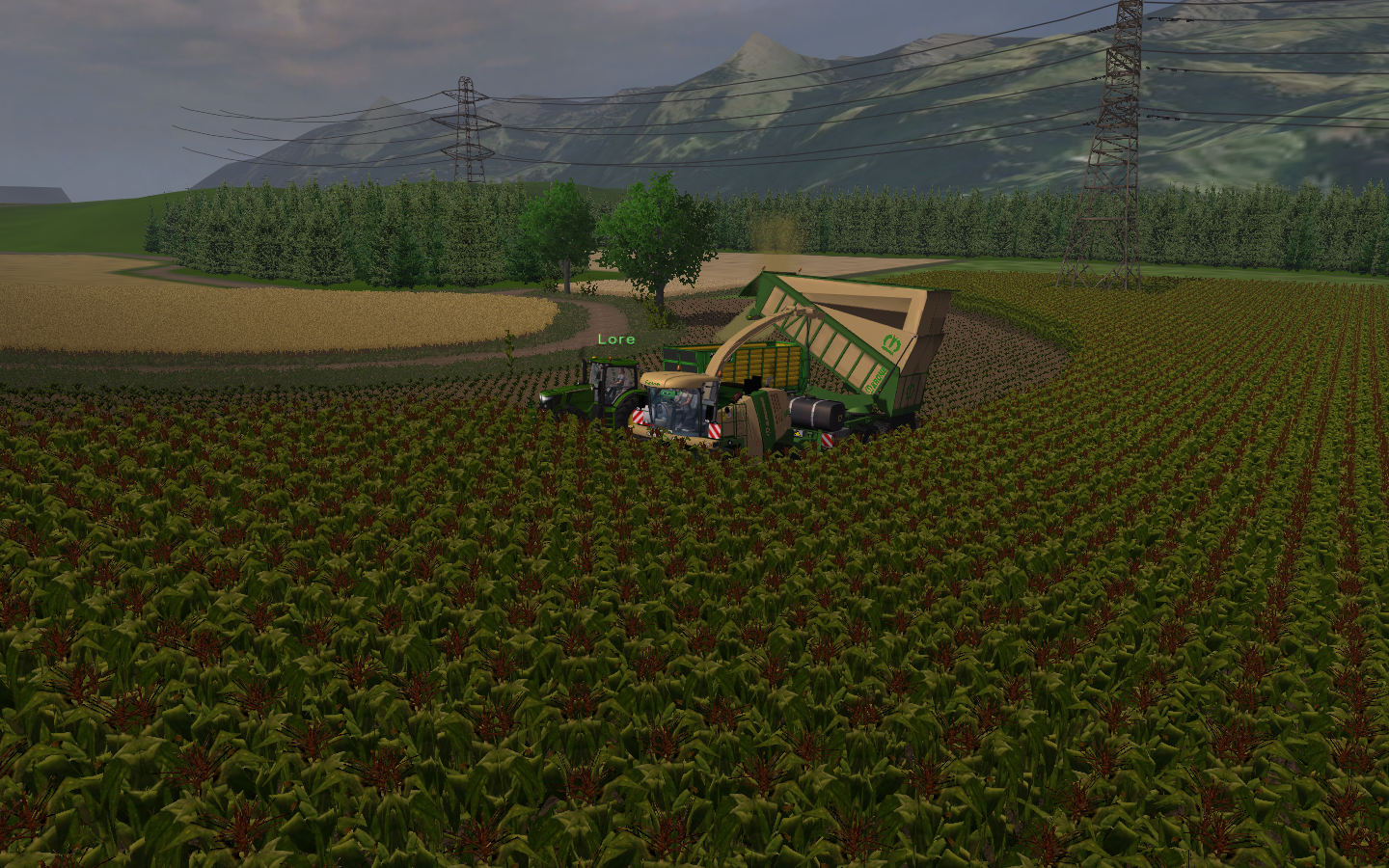 Monti Country - Thumbnail 1