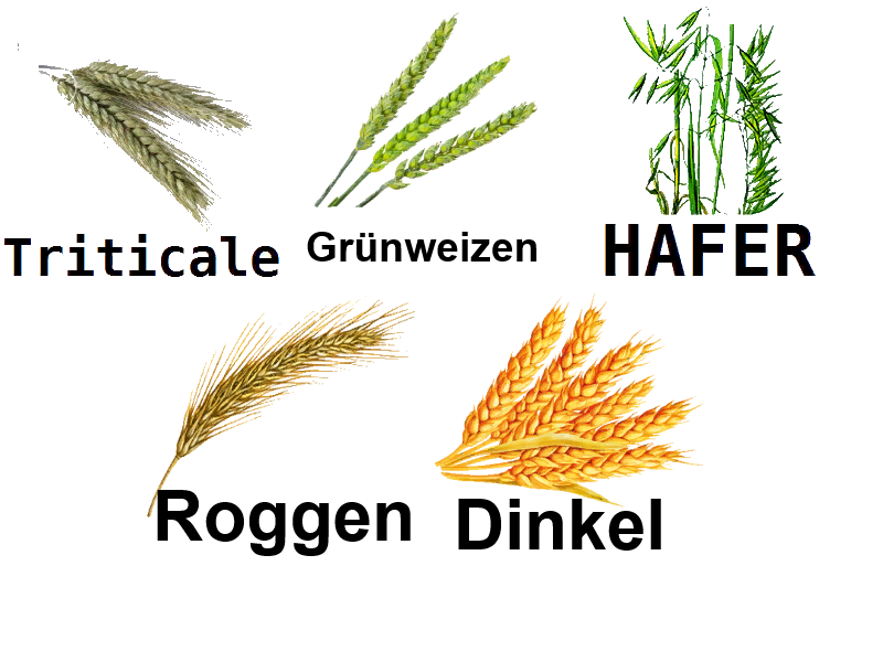 Multifruit Getreide mit Stroh - Thumbnail 1