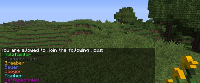 Hilfreiche Tools Server Jobs PluginConfigs  Minecraft mod