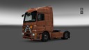 Mercedes-actros-birnenbaum-skin-siehe-bilder