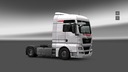 Man-tgx-ritter-skin