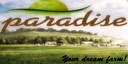 Paradise-final-edition--3