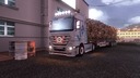 Hartmanntransporte-skin-fur-actros