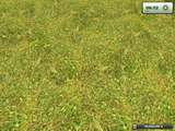 Grass texture Mod Thumbnail