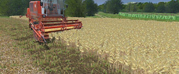 Texturen Gerstentextur Landwirtschafts Simulator mod