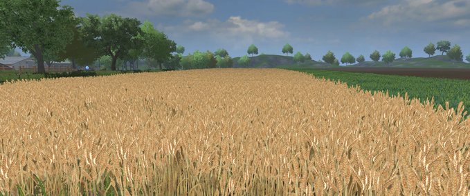 Texturen Weizen Textur Landwirtschafts Simulator mod
