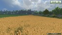 Weizen-gersten-textur