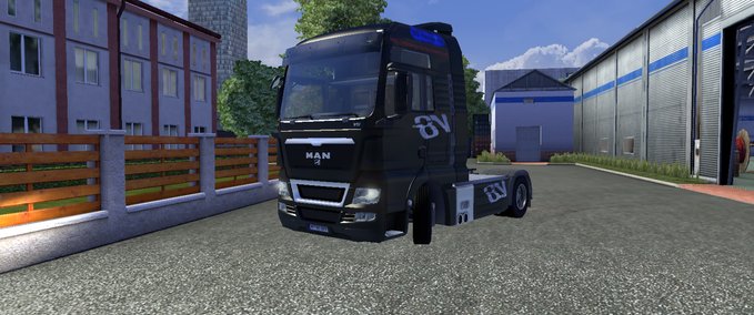 Skins MAN TGX v8 Eurotruck Simulator mod
