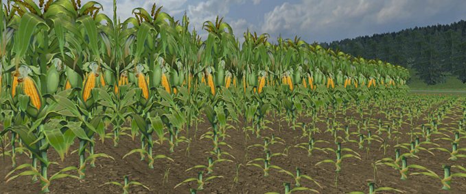 Textures Maize texture Farming Simulator mod