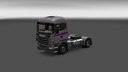 Moder-transporte-skin