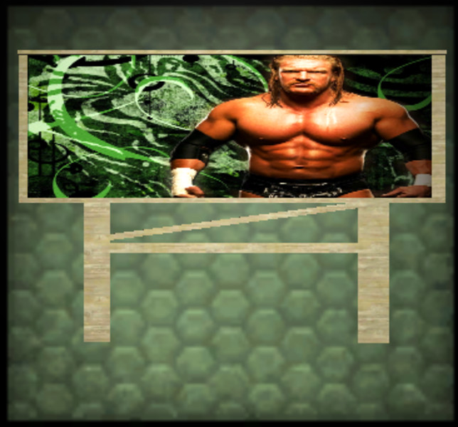 WWE Signs - Thumbnail 1
