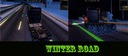 Winter-road-with-lights-dividing-lines
