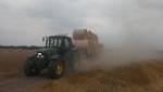 Hirsch6900