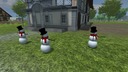 Schneeman