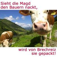binderbua
