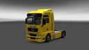 Man-tgx-voigt-logistik-skin