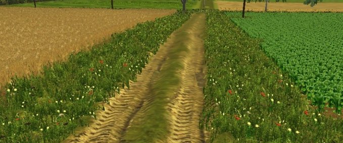 Maps Wegorzew Landwirtschafts Simulator mod