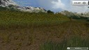 Foliage_maize_diffuse
