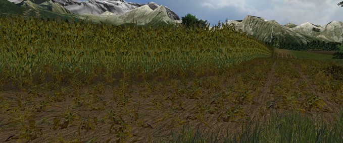 Texturen foliage maize diffuse Landwirtschafts Simulator mod