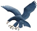 BlueEagle avatar