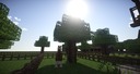 Medieval Server World