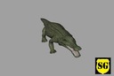 Crocodile