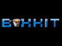 Instalierter-bukkit-server