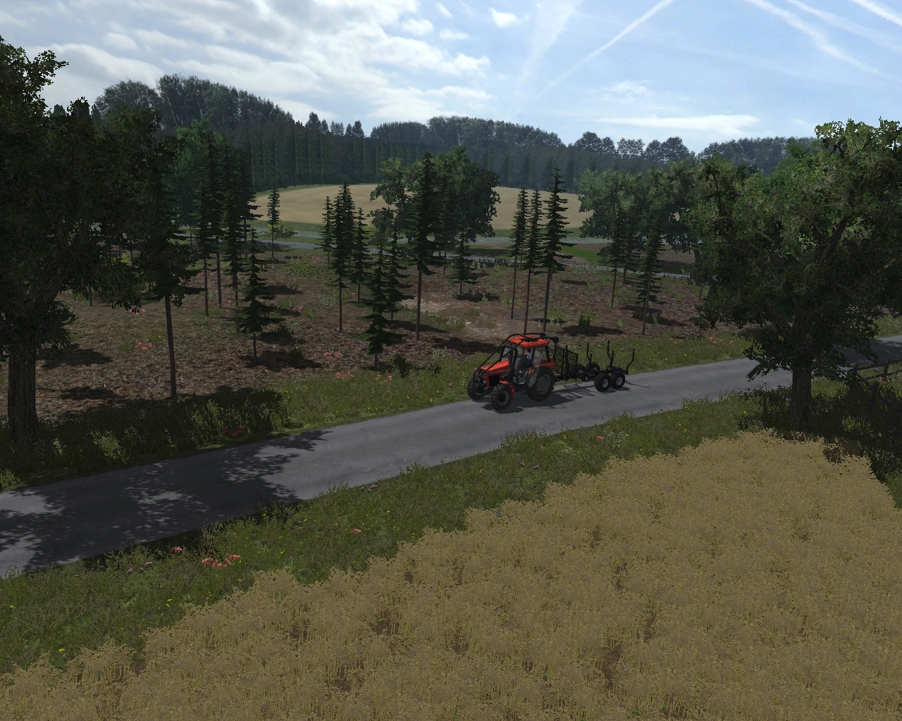 Forest Map - Thumbnail 1