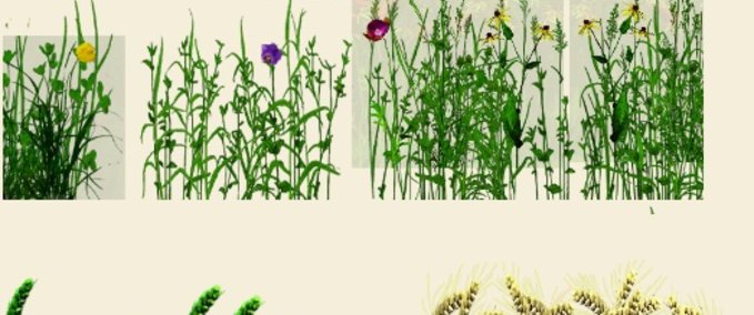 Texturen Texture wheat barley and grass Landwirtschafts Simulator mod