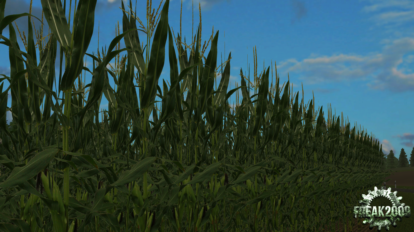 Real corn HD Texture - Thumbnail 1
